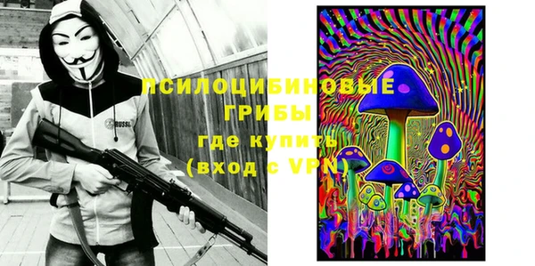 дмт Верея