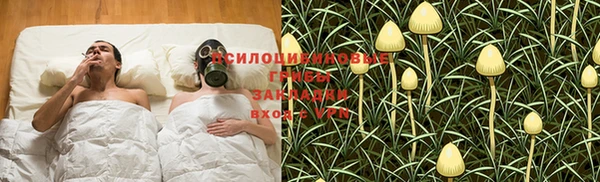 дмт Верея
