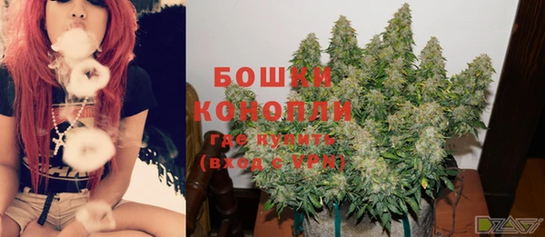 дмт Верея