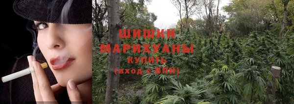 дмт Верея