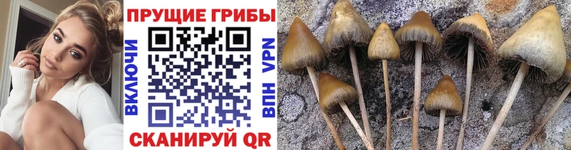 Галлюциногенные грибы Cubensis  Симферополь 